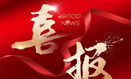 喜报丨3031bcom永利集团入选2024粤港澳大湾区企业创新力榜单